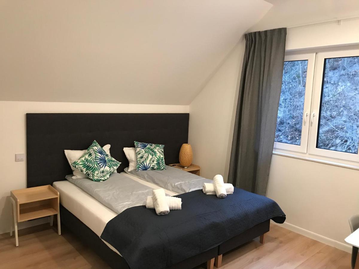 Apartamenty Pod Zamkiem W Janowcu Janowiec Dış mekan fotoğraf